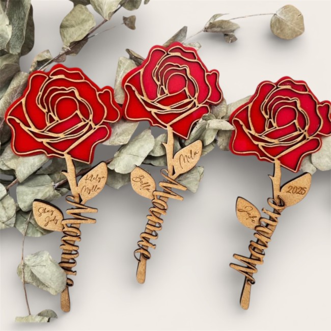 Photoroom_20260106_232357