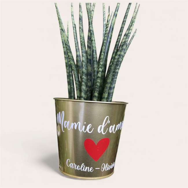 Photoroom_20251206_224153