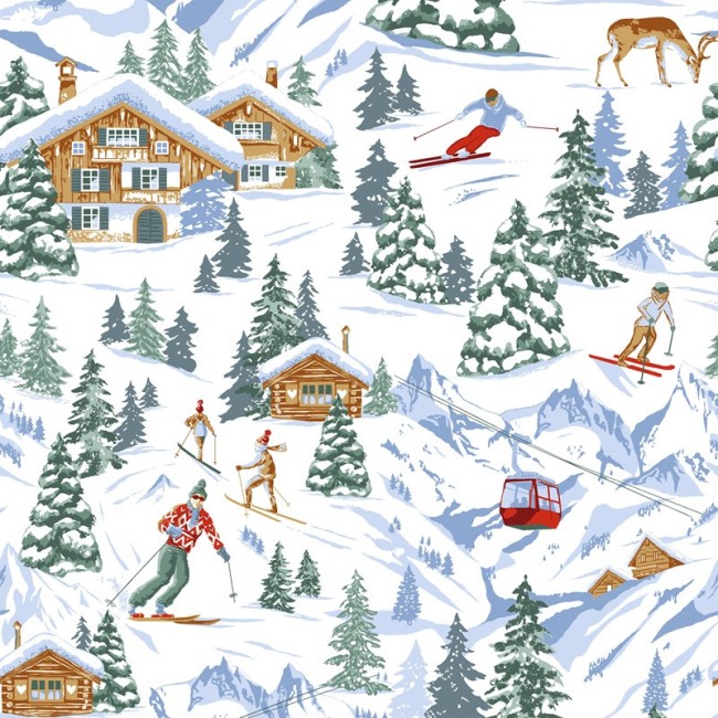 montagne ski (1)