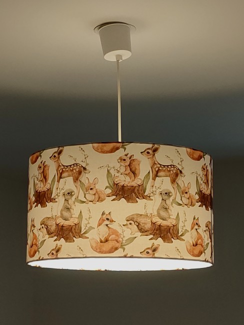 animaux foret renard animaux de la forêt