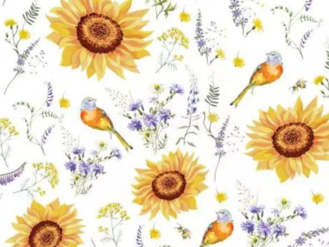tournesol