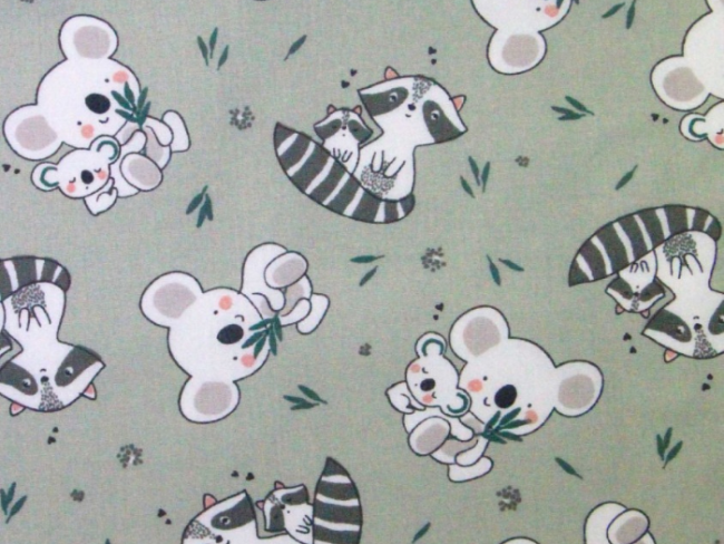 koala