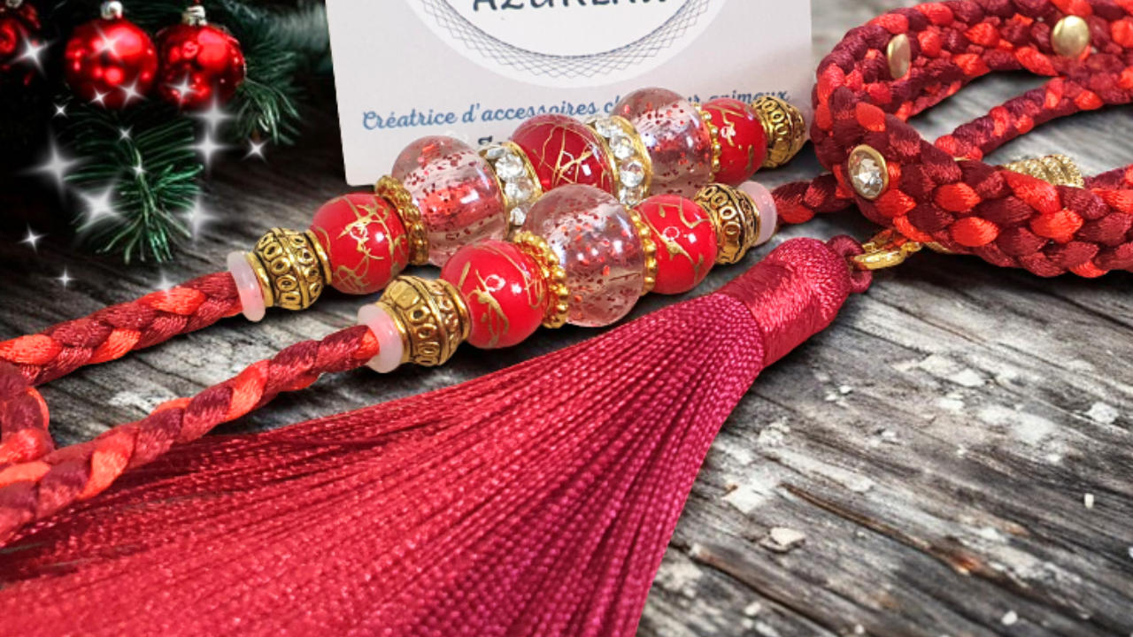 Laisse d'expositions canines - Fait main