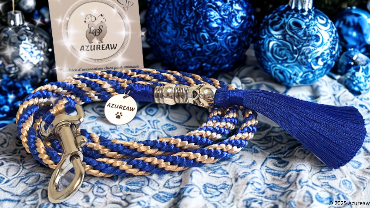 Laisse mousqueton tressé - Fait main