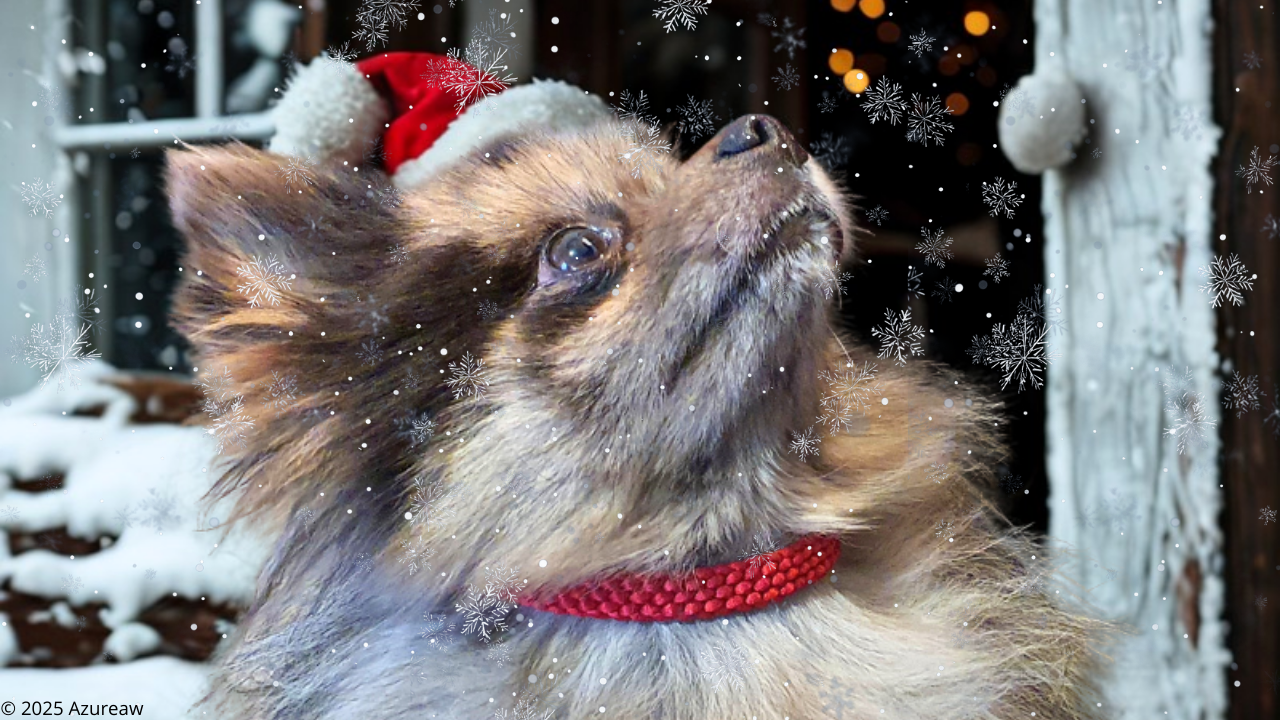 Colliers tressés sur mesures - Fait main