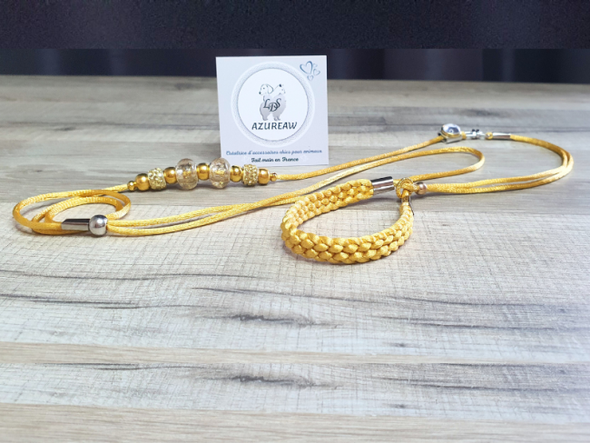 Laisse expositions canines Mini chien avec sous-gorge tressé 