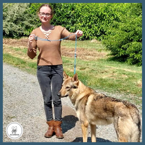 Laisse expositions canines pour grand chien - Fait main