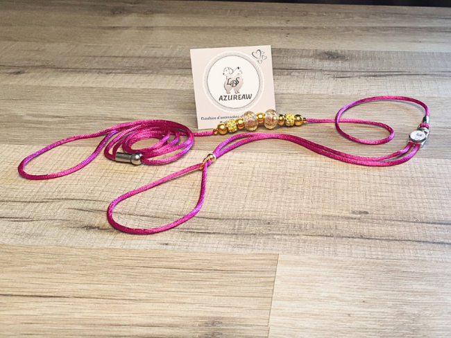 Laisse expositions canines Mini chien sans sous-gorge Laisse expositions canines Mini chien sans sous-gorge