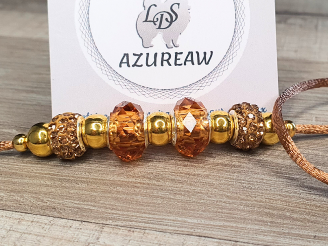 Laisse expositions canines Mini chien sans sous-gorge Laisse expositions canines Mini chien sans sous-gorge