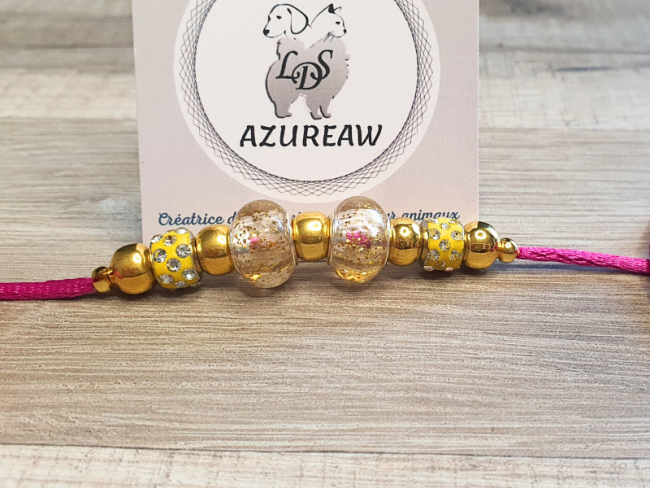 Laisse expositions canines Mini chien sans sous-gorge Laisse expositions canines Mini chien sans sous-gorge