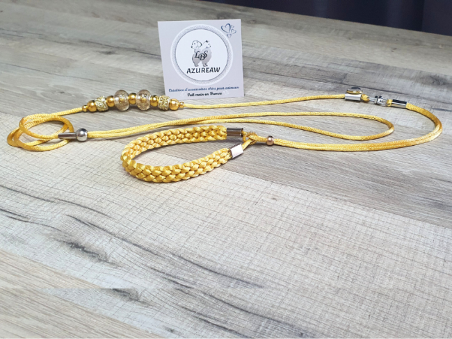 Laisse expositions canines Mini chien avec sous-gorge tressé 