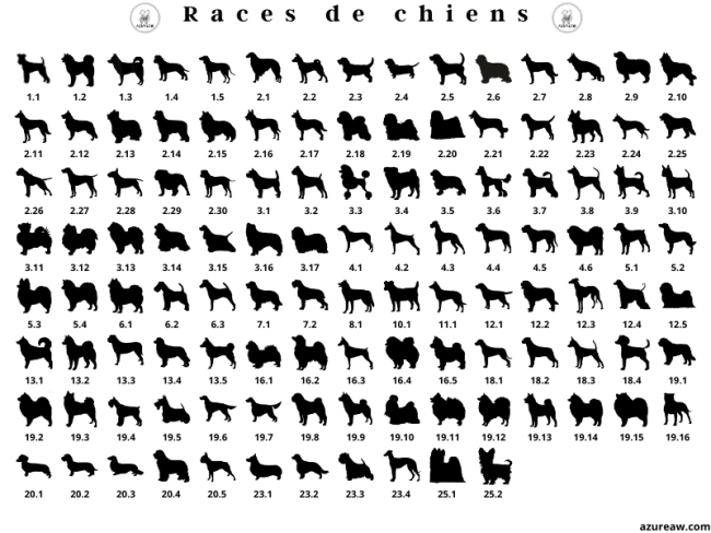 Races de chiens pour pochettes Azureaw Races de chiens pour pochettes Azureaw