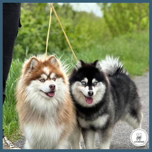 Accouple Tressé - Fait main