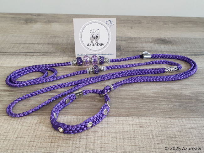 Laisse expositions canines LUXE STRASS petit/moyen chien Avec poignée Laisse expositions canines LUXE STRASS petit/moyen chien Avec poignée