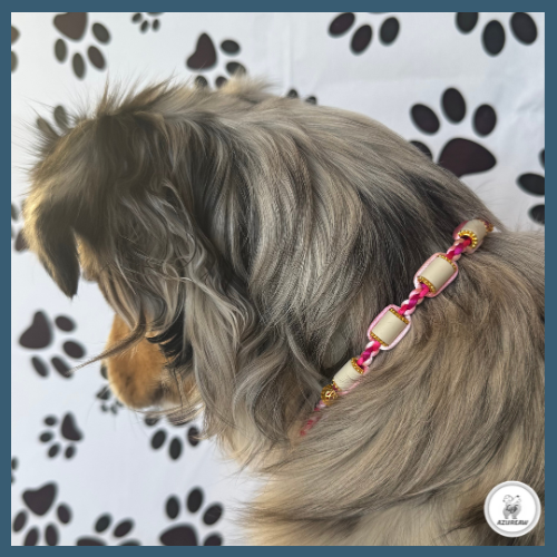 Chien portant un collier Perles céramique EM pour montrer le rendu | Azureaw