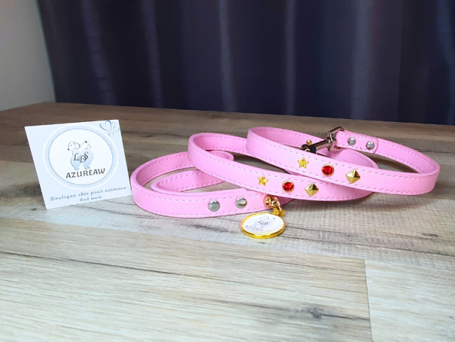 Laisse Rose *Petit/Moyen chien* pour Balades - Fait main