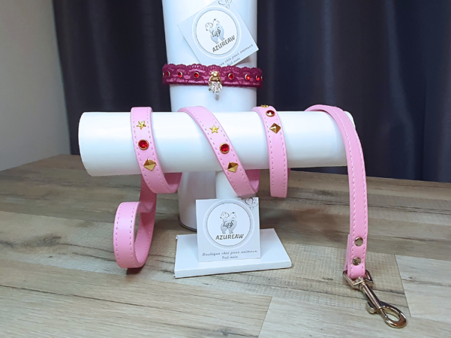 Ensemble Laisse et collier Rose Dentelle Prune *Petit/Moyen chien* pour Balades - Fait main