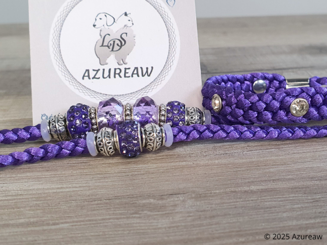 Laisse d’exposition Violette Scintillante – Violet et argent avec strass | Azureaw Laisse d’exposition Violette Scintillante violet avec strass et perles violettes, mauve et argent | Azureaw