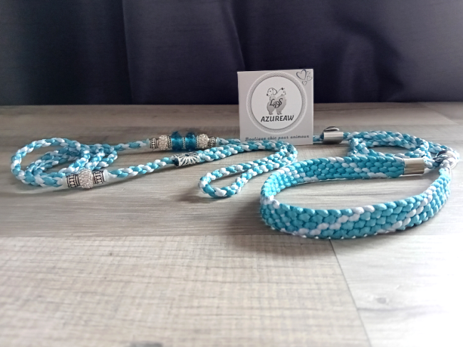 Laisse expositions canines grand chien Avec sous-gorge Laisse expositions canines grand chien Avec sous-gorge