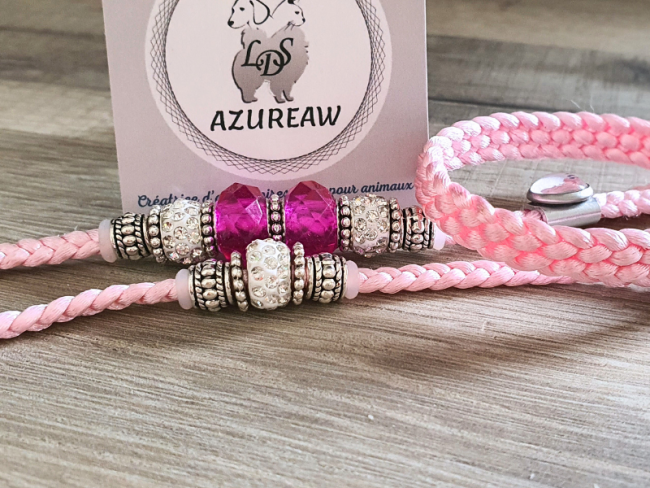 Laisse expositions canines Petit/Moyen chien Avec sous-gorge Laisse expositions canines Petit/Moyen chien Avec sous-gorge