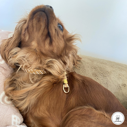 Collier coulissant Azureaw porté pour rendu 