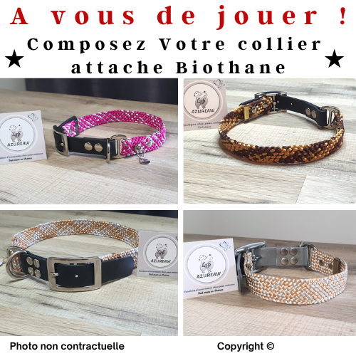 Collier tressé Attache Biothane - Fait main et sur mesure