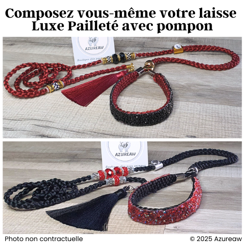 Laisse d’expo LUXE PAILLETÉE grand chien avec pompon (réalisation...