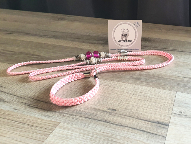 Laisse expositions canines Petit/Moyen chien Avec sous-gorge Laisse expositions canines Petit/Moyen chien Avec sous-gorge