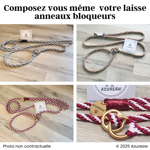 Laisse expositions canine - Grand diamètre 