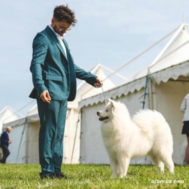 Chien portant une laisse d'exposition pour montrer le rendu | Azureaw