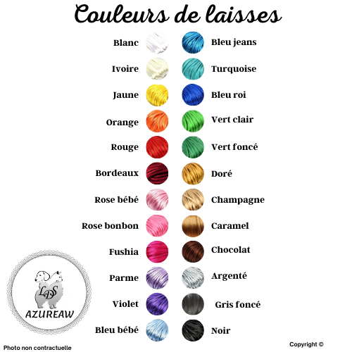 Couleurs Laisse expositions canine - Grand diamètre 