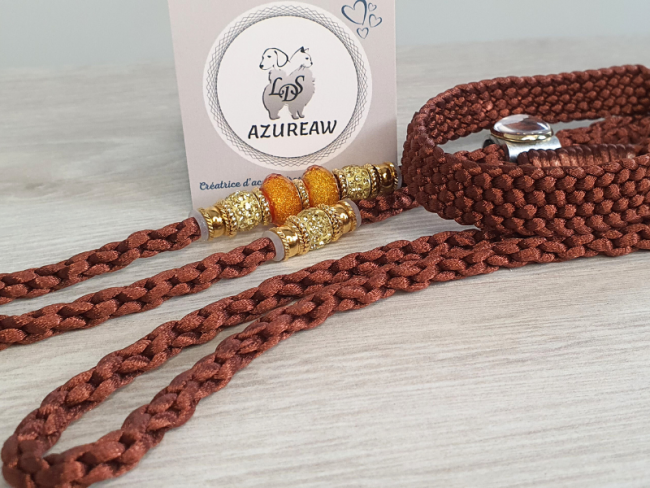 Laisse expositions canines NOISETTE DORÉ  avec sous gorge pour grand chien - Fait main