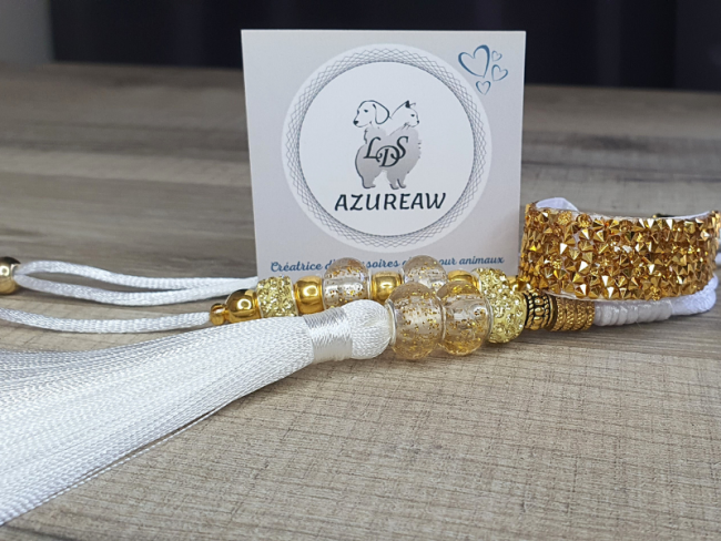 Laisse expositions canines Luxe Mini chien avec poignée et pompon Laisse expositions canines Luxe Mini chien avec poignée et pompon