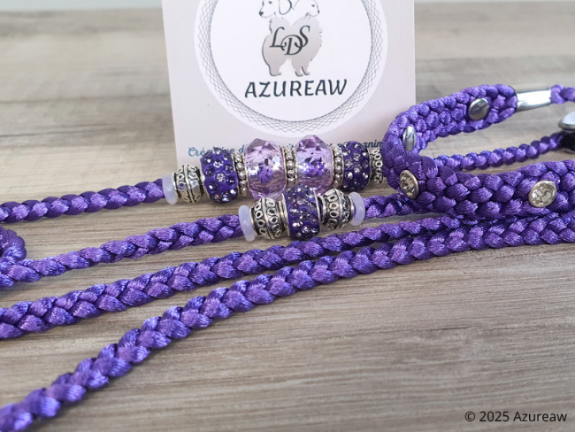 Laisse expositions canines LUXE STRASS petit/moyen chien Avec poignée Laisse expositions canines LUXE STRASS petit/moyen chien Avec poignée