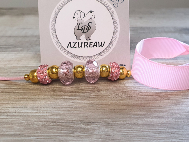 Laisse expositions canines Mini chien avec sous-gorge  