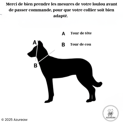 Aide pour prendre les mesures sur votre chien pour que votre collier Azureaw soit adapté au mieux 
