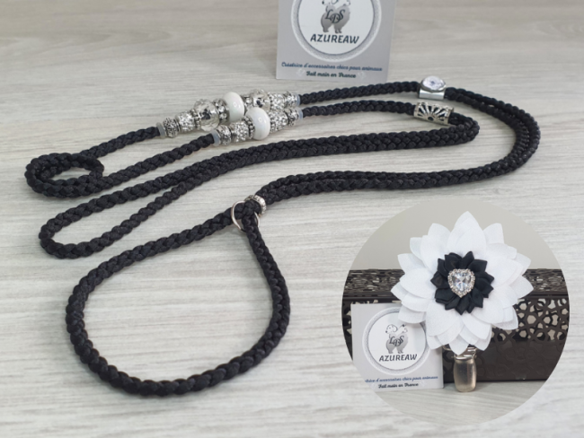 Ensemble Élégance Cristal pour exposition canine – Azureaw ensemble élégant pour présentation chien en exposition canine Azureaw