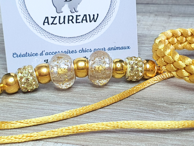 Laisse expositions canines Mini chien avec sous-gorge tressé 