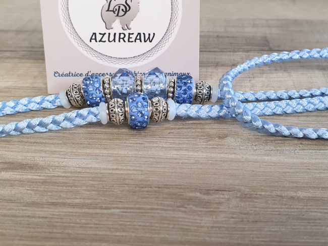 Laisse expositions canines Petit/Moyen chien Sans sous-gorge  