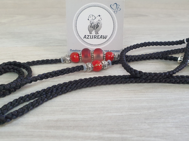 Laisse d’exposition canine Rouge & Noir – Azureaw laisse présentation sobre sans strass Azureaw