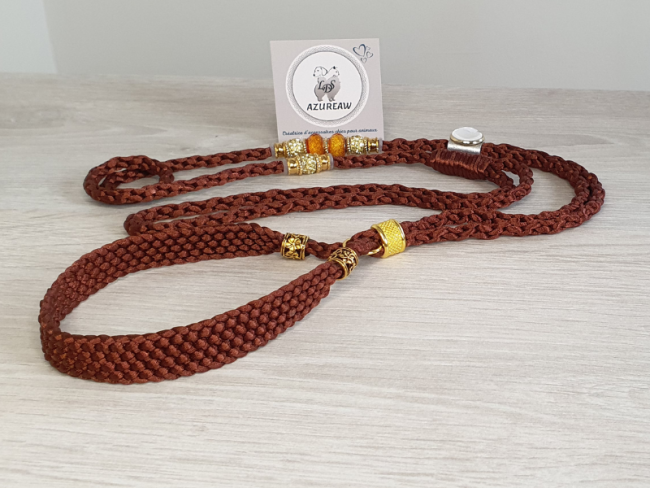 Laisse expositions canines NOISETTE DORÉ  avec sous gorge pour grand chien - Fait main