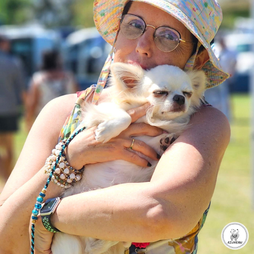 Chien portant une laisse mousqueton pour montrer le rendu | Azureaw