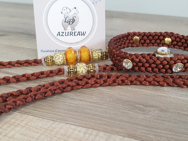 Laisse expositions canines LUXE STRASS grand chien Avec poignée Laisse expositions canines LUXE STRASS grand chien Avec poignée