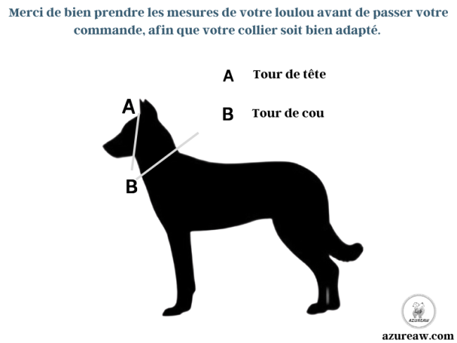 Comment bien prendre les mesures de votre chien pour un collier bien adapté - Azureaw