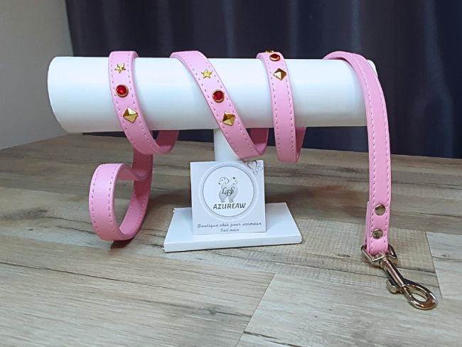 Laisse Rose *Petit/Moyen chien* pour Balades - Fait main