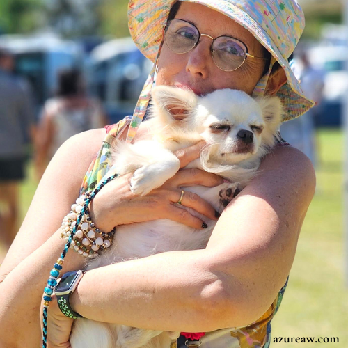 Chien portant une laisse mousqueton pour montrer le rendu | Azureaw