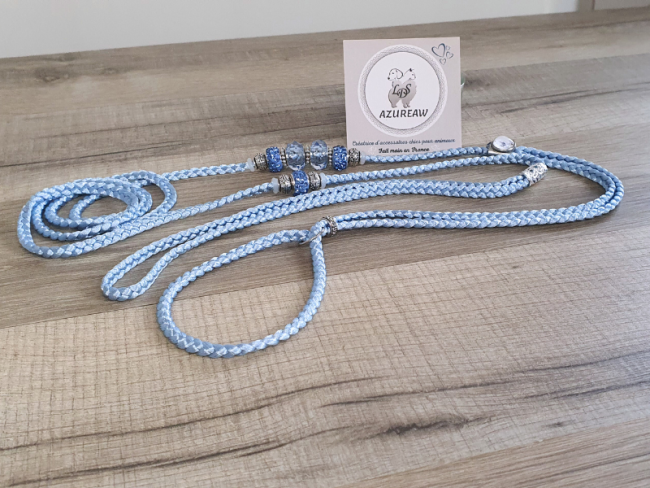 Laisse expositions canines Petit/Moyen chien Sans sous-gorge  