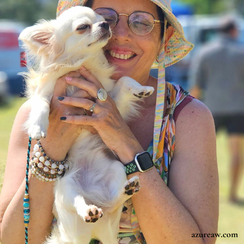 Chien portant une laisse mousqueton pour montrer le rendu | Azureaw