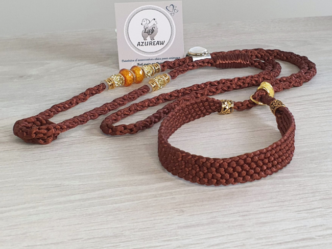 Laisse expositions canines NOISETTE DORÉ  avec sous gorge pour grand chien - Fait main