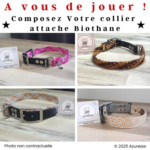 Collier tressé Attache Biothane - Fait main et sur mesure Collier tressé Attache Biothane - Fait main et sur mesure